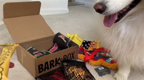 hairy metal bark box|Barkbox July 2019 Subscription Box Review.